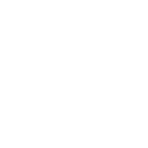 3 (1)